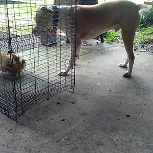 Meet your Posher, Candace